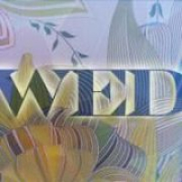 Wednesday Weekly Workshops